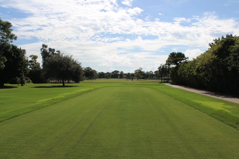 Course Photos San Carlos Golf Club
